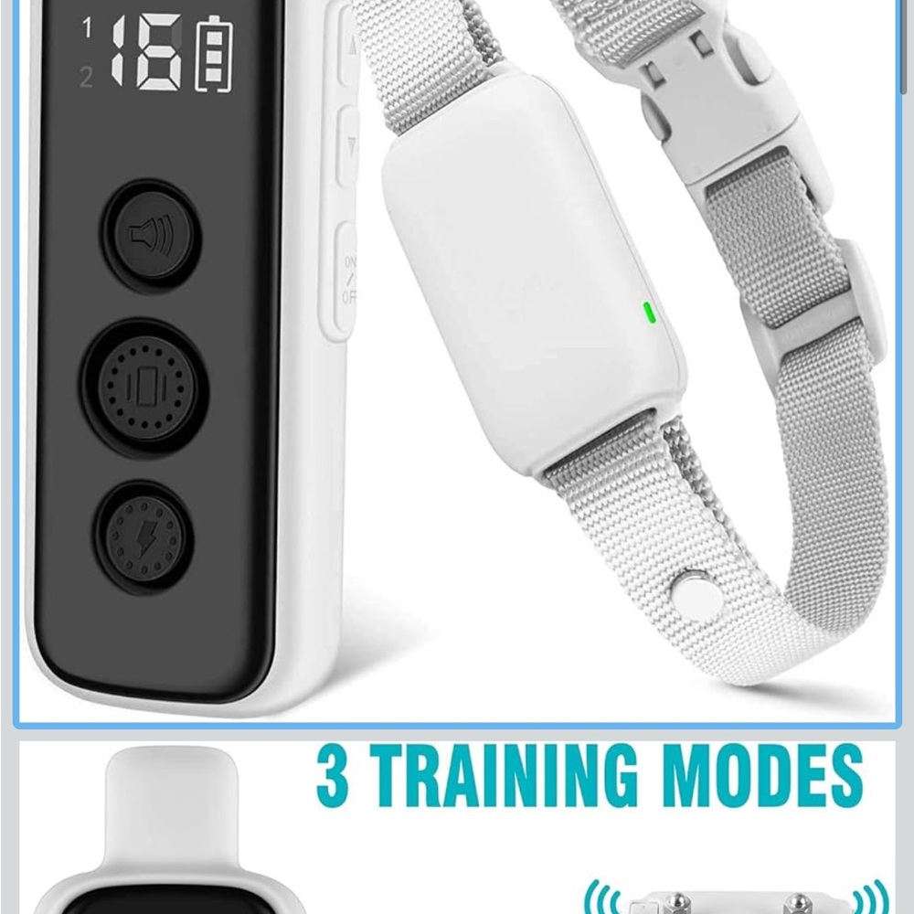 Black and White Dog Training Collar